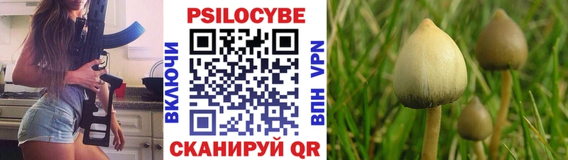 Псилоцибиновые грибы Cubensis  Купить где  Анапа 