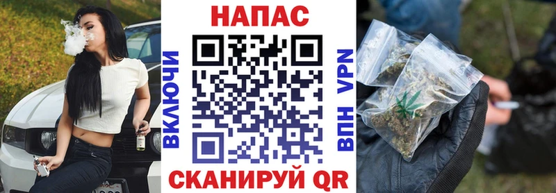 Бошки Шишки план  Купить  Анапа 
